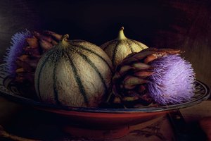 Melons et chardons violets - Christine SUISSIA