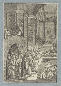 Pierre et les autres apôtres libérés de prison par un ange - Christoffel van Sichem (II)
