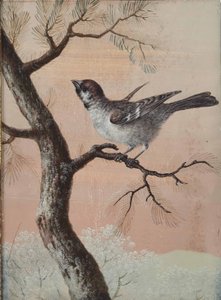 Mésange sur une branche - Christoph Ludwig Agricola