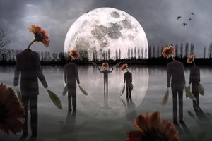 Figurines de têtes de fleurs au clair de lune - Christophe Kiciak