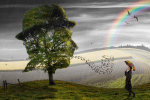 Pluie surréaliste et espoir