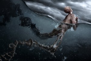 Surreal Storm : Renaissance