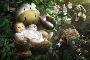 Les adorables amis de la forêt - Christophe Kiciak