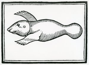 Un poisson appelé 