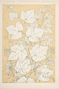 Feuilles de la nature, 1868