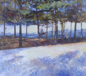 Lac gelé, État de New York - Christopher Glanville