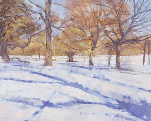 Hiver, Richmond Park - Christopher Glanville
