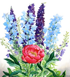 Delphiniums Bleus - Christopher Ryland