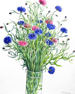 Bleuets