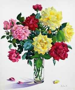 Roses de juin