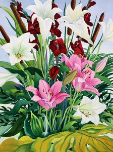 Lys et massettes