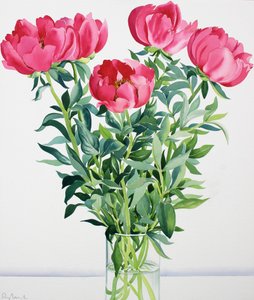 Pivoines