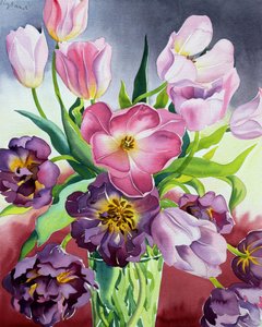 Tulipes