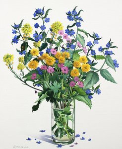 Fleurs sauvages avec Alkanet, 2021