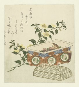 Grenouille et branche de Kerria Japonica - Chôtei Hisazumi