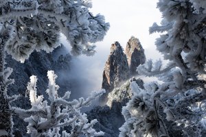 Les majestueux sommets hivernaux