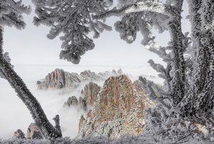 Sommets hivernaux brumeux