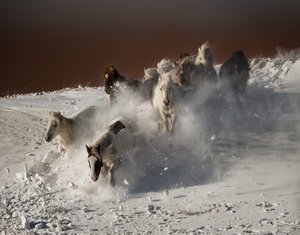  - Chuanxu Ren