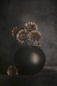  - Cicek Kiral
