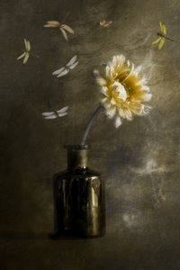  - Cicek Kiral
