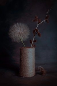  - Cicek Kiral