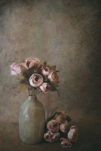  - Cicek Kiral