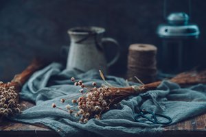  - Cindy Liu