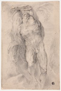 Homme nu attaché à un arbre - Circle of Peter Paul Rubens