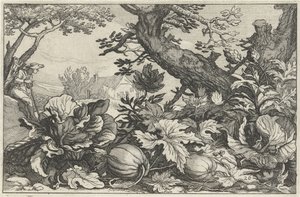 Paysage avec citrouilles et choux