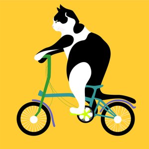 Chat sur un vélo Brompton