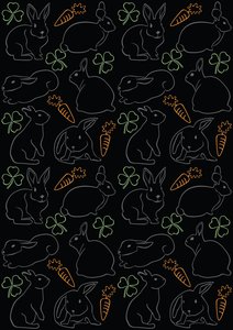 Lapins de nuit - Claire Huntley