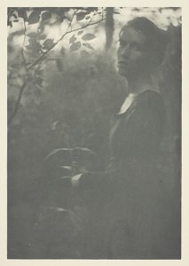 Bord de la forêt - Clarence H. White