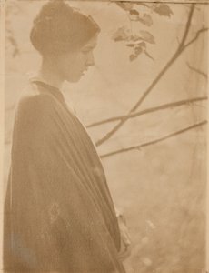 Lumière du soleil - Clarence H White