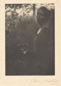 La lisière des bois, le soir, 1900 (photo)