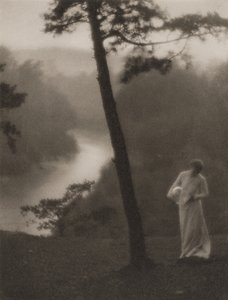 Matin, publié en juillet 1908