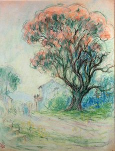 Arbre rose