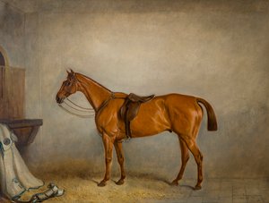 Le cheval Planet dans une écurie - Claude L. Ferneley