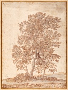 Trois arbres - Claude Lorrain