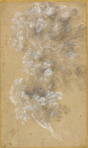 Croquis du feuillage et des branches - Claude Lorrain