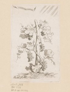 Vigne - Claude Mellan