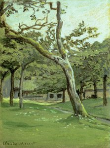 Un Verger - Claude Monet