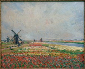 Champs de fleurs et de moulins près de Leyde