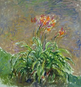 Hémérocalle - Claude Monet