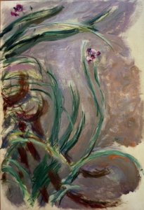 Iris - Claude Monet