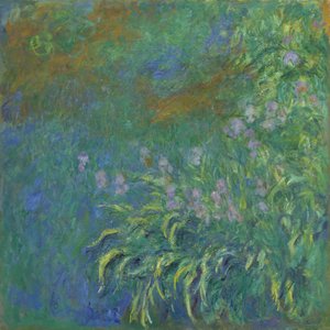 Iris, 1914-17 - Claude Monet