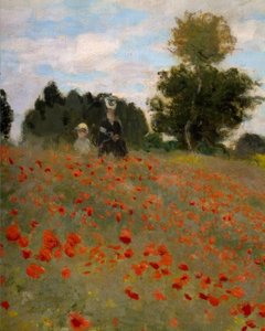 Les Coquelicots à Argenteuil