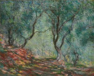 Oliviers dans le jardin Moreno, 1884 - Claude Monet