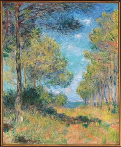 Allée de sapins à Varengeville, 1882 - Claude Monet