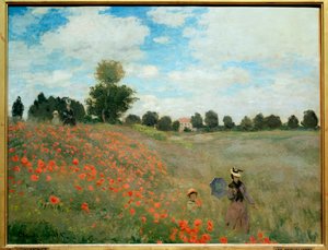 Coquelicots, près d
