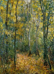 Sous-bois